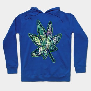 Sweet Grass Hoodie